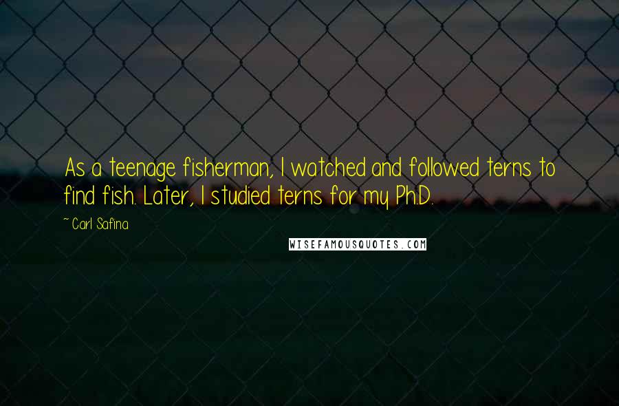 Carl Safina Quotes: As a teenage fisherman, I watched and followed terns to find fish. Later, I studied terns for my Ph.D.