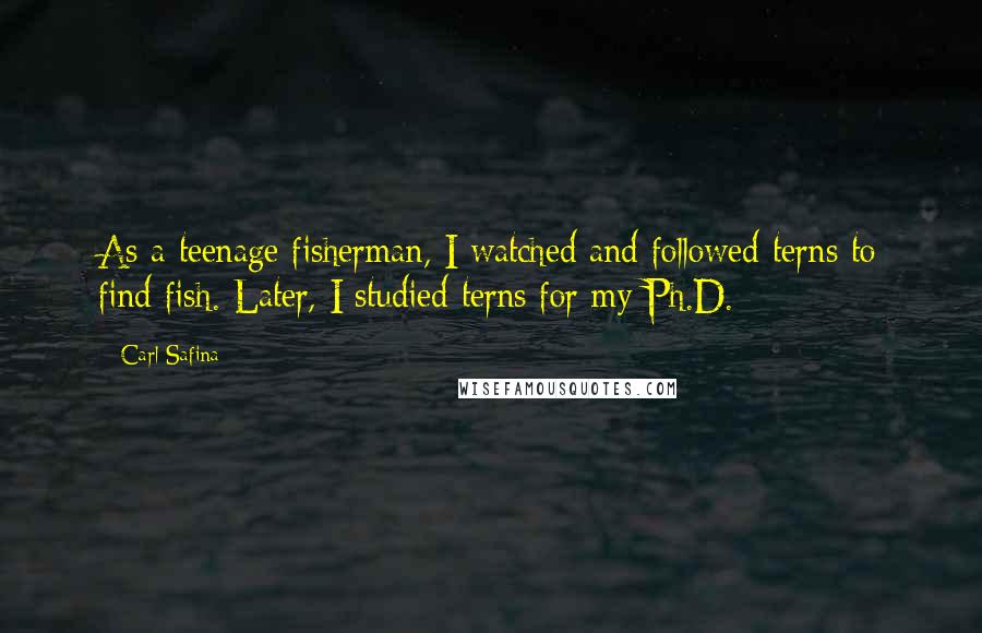 Carl Safina Quotes: As a teenage fisherman, I watched and followed terns to find fish. Later, I studied terns for my Ph.D.