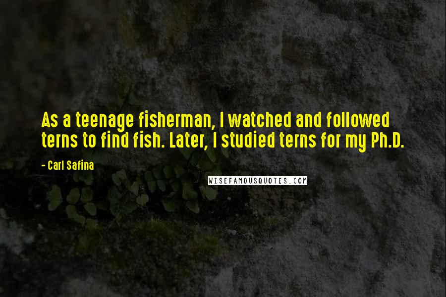 Carl Safina Quotes: As a teenage fisherman, I watched and followed terns to find fish. Later, I studied terns for my Ph.D.