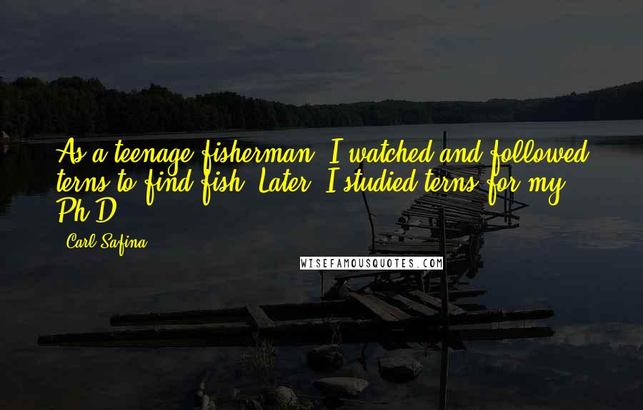 Carl Safina Quotes: As a teenage fisherman, I watched and followed terns to find fish. Later, I studied terns for my Ph.D.