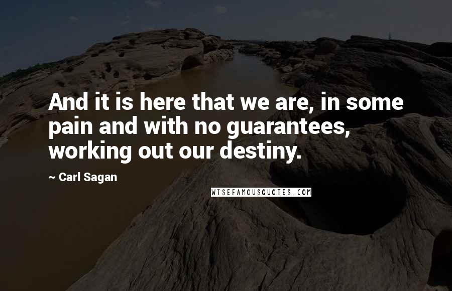 Carl Sagan Quotes: And it is here that we are, in some pain and with no guarantees, working out our destiny.