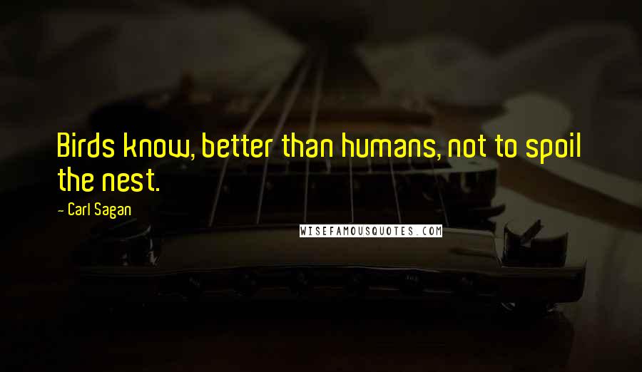 Carl Sagan Quotes: Birds know, better than humans, not to spoil the nest.