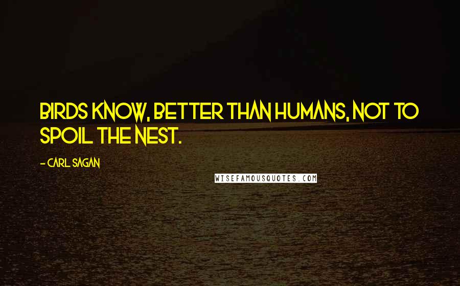 Carl Sagan Quotes: Birds know, better than humans, not to spoil the nest.