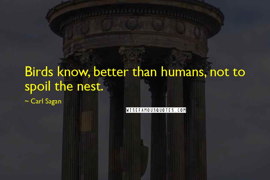 Carl Sagan Quotes: Birds know, better than humans, not to spoil the nest.