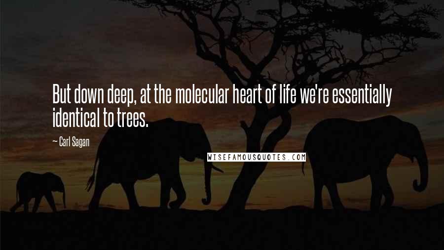 Carl Sagan Quotes: But down deep, at the molecular heart of life we're essentially identical to trees.