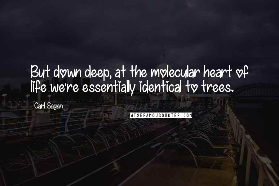 Carl Sagan Quotes: But down deep, at the molecular heart of life we're essentially identical to trees.