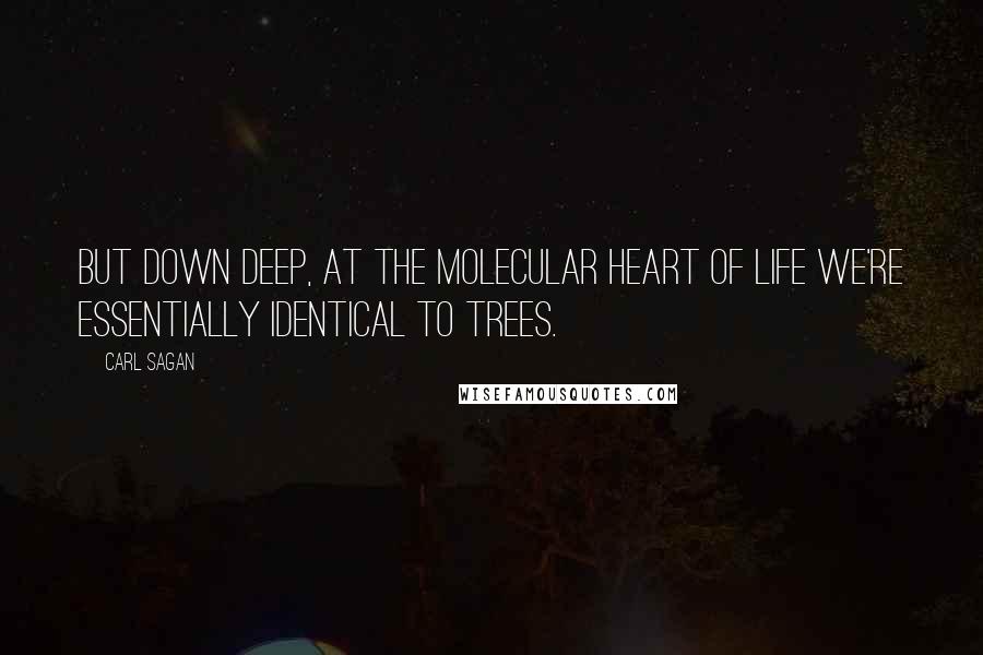 Carl Sagan Quotes: But down deep, at the molecular heart of life we're essentially identical to trees.