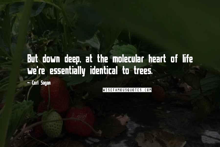 Carl Sagan Quotes: But down deep, at the molecular heart of life we're essentially identical to trees.