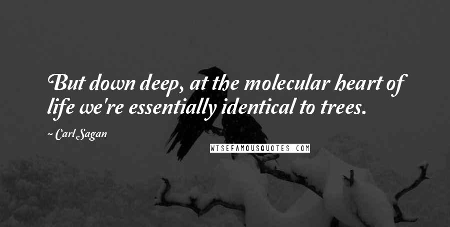 Carl Sagan Quotes: But down deep, at the molecular heart of life we're essentially identical to trees.