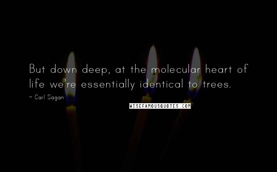 Carl Sagan Quotes: But down deep, at the molecular heart of life we're essentially identical to trees.