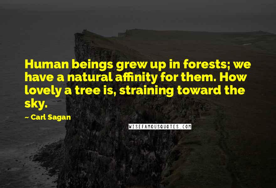 Carl Sagan Quotes: Human beings grew up in forests; we have a natural affinity for them. How lovely a tree is, straining toward the sky.