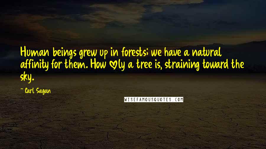 Carl Sagan Quotes: Human beings grew up in forests; we have a natural affinity for them. How lovely a tree is, straining toward the sky.