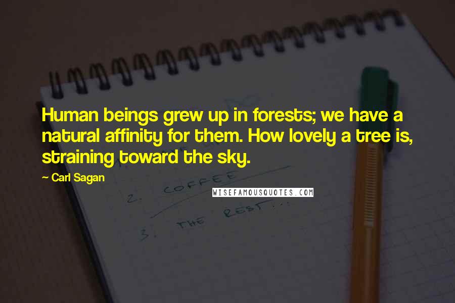 Carl Sagan Quotes: Human beings grew up in forests; we have a natural affinity for them. How lovely a tree is, straining toward the sky.