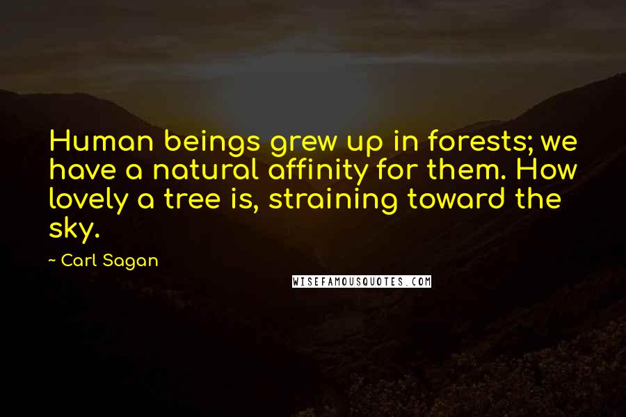 Carl Sagan Quotes: Human beings grew up in forests; we have a natural affinity for them. How lovely a tree is, straining toward the sky.