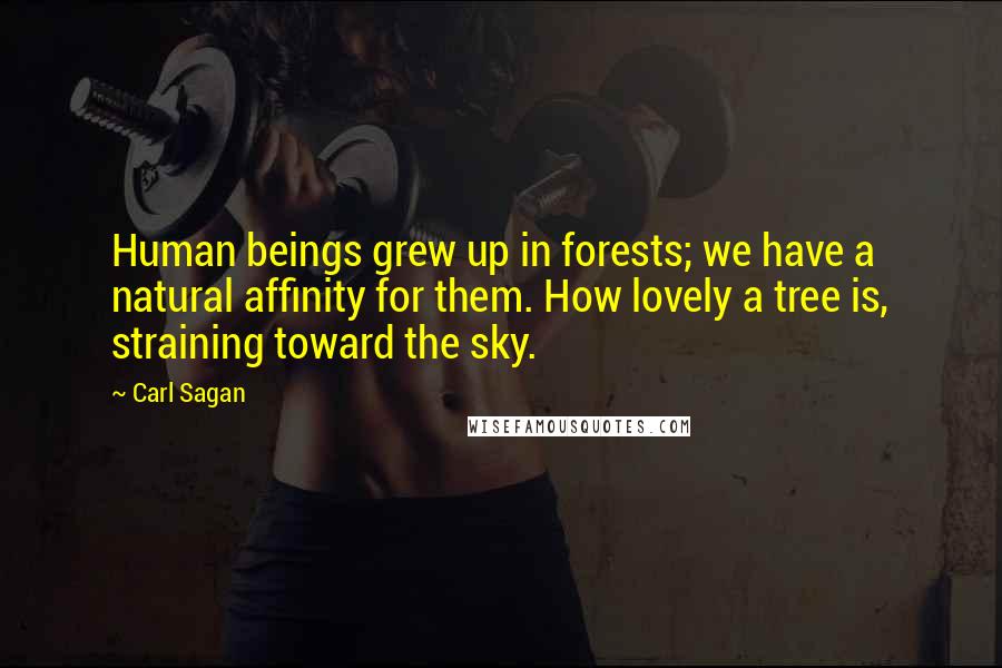 Carl Sagan Quotes: Human beings grew up in forests; we have a natural affinity for them. How lovely a tree is, straining toward the sky.