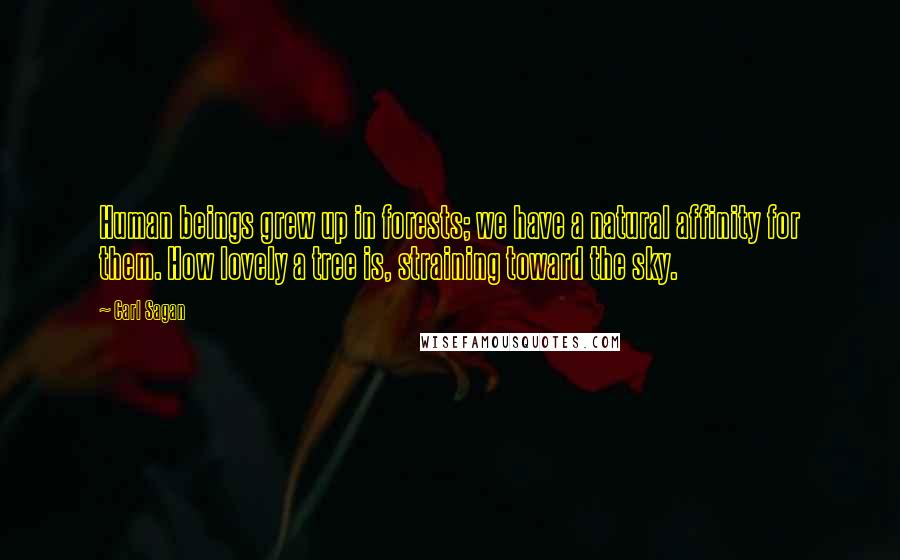 Carl Sagan Quotes: Human beings grew up in forests; we have a natural affinity for them. How lovely a tree is, straining toward the sky.