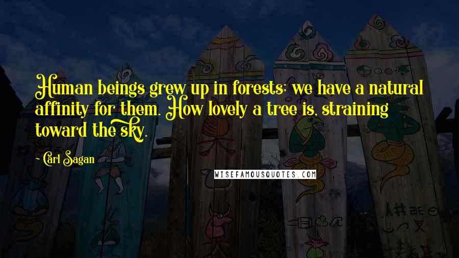 Carl Sagan Quotes: Human beings grew up in forests; we have a natural affinity for them. How lovely a tree is, straining toward the sky.