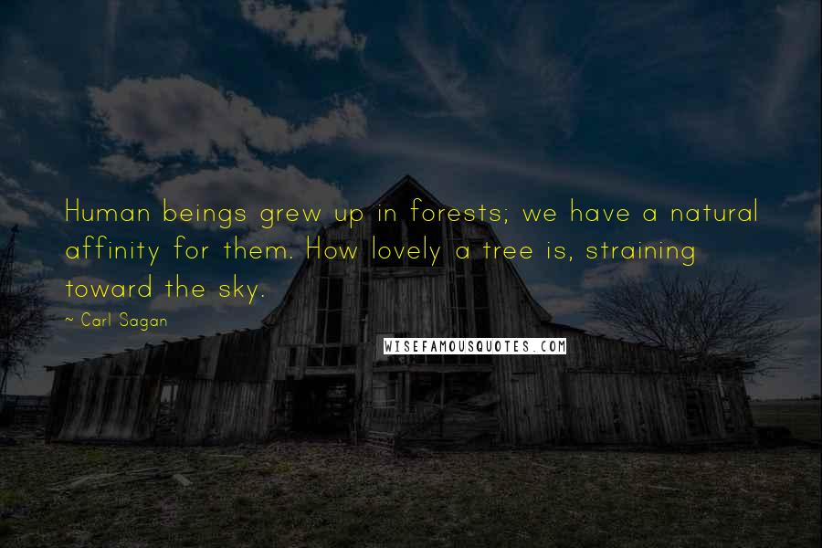 Carl Sagan Quotes: Human beings grew up in forests; we have a natural affinity for them. How lovely a tree is, straining toward the sky.