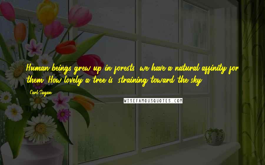 Carl Sagan Quotes: Human beings grew up in forests; we have a natural affinity for them. How lovely a tree is, straining toward the sky.
