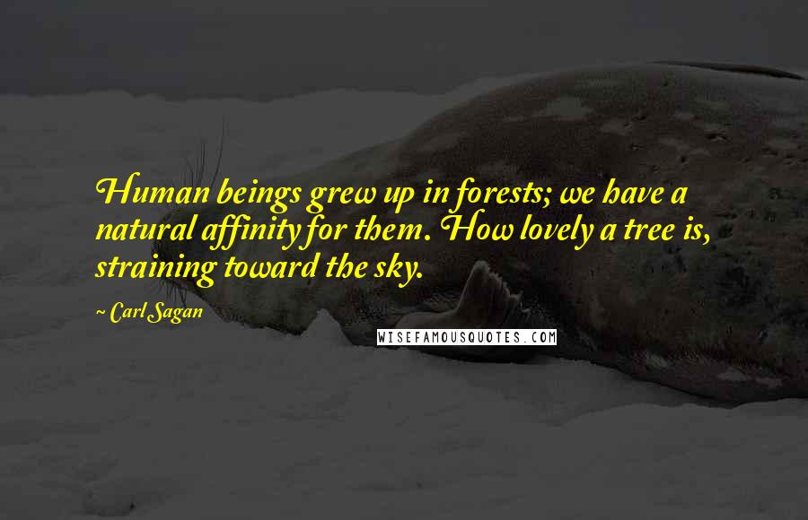 Carl Sagan Quotes: Human beings grew up in forests; we have a natural affinity for them. How lovely a tree is, straining toward the sky.