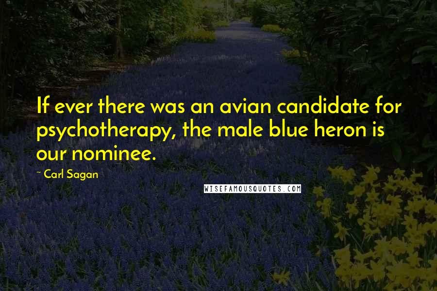 Carl Sagan Quotes: If ever there was an avian candidate for psychotherapy, the male blue heron is our nominee.