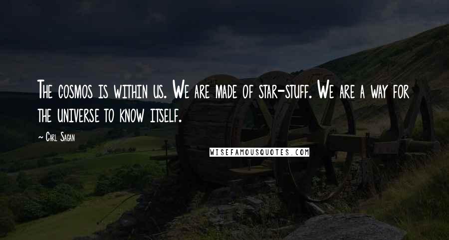 Carl Sagan Quotes: The cosmos is within us. We are made of star-stuff. We are a way for the universe to know itself.