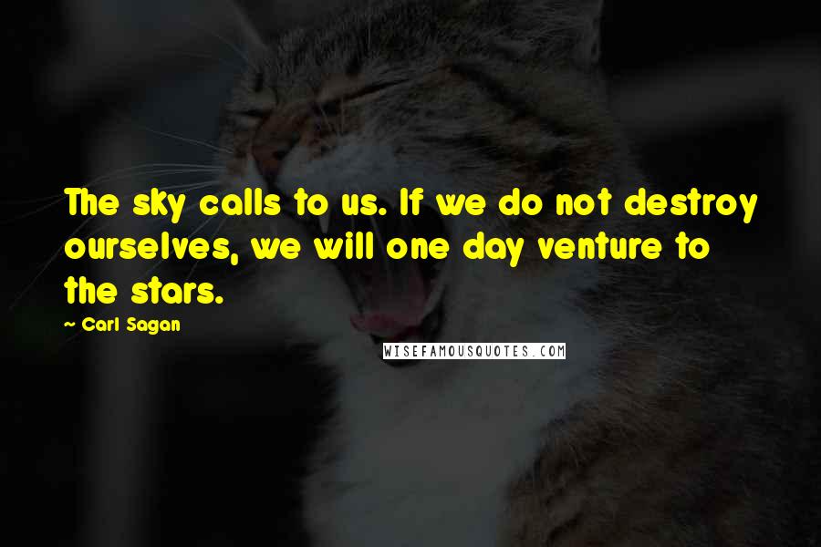 Carl Sagan Quotes: The sky calls to us. If we do not destroy ourselves, we will one day venture to the stars.