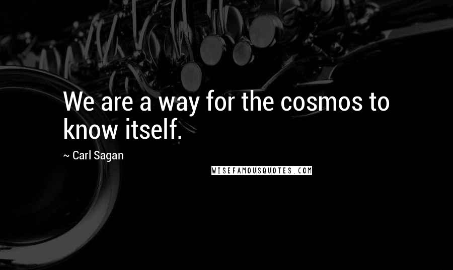Carl Sagan Quotes: We are a way for the cosmos to know itself.