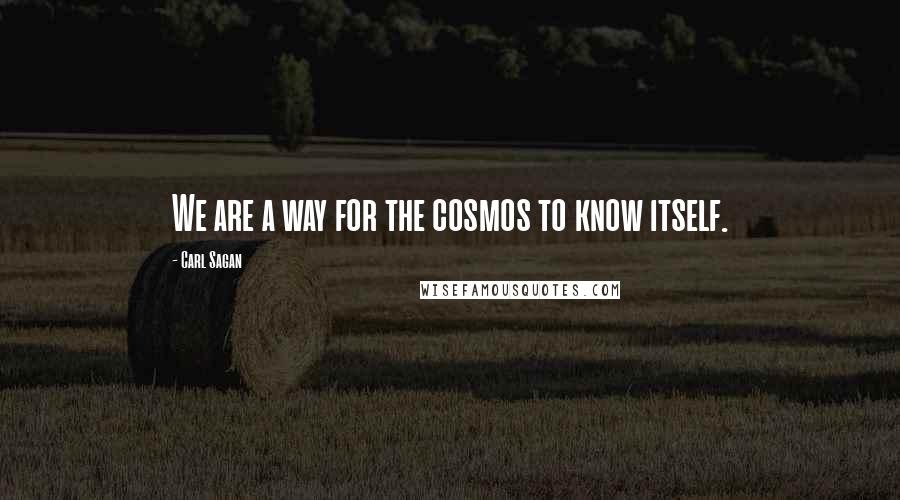 Carl Sagan Quotes: We are a way for the cosmos to know itself.