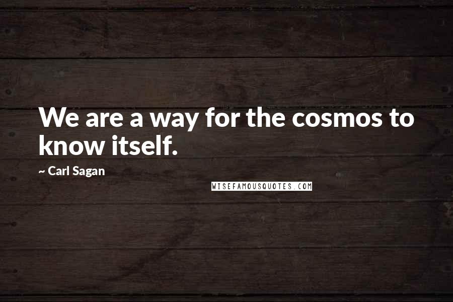 Carl Sagan Quotes: We are a way for the cosmos to know itself.