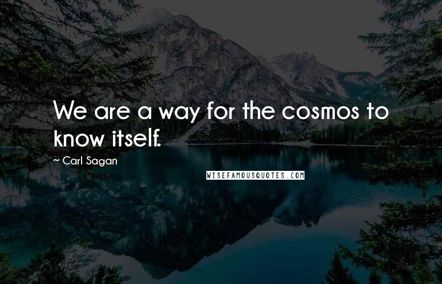 Carl Sagan Quotes: We are a way for the cosmos to know itself.