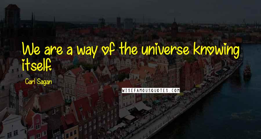 Carl Sagan Quotes: We are a way of the universe knowing itself.