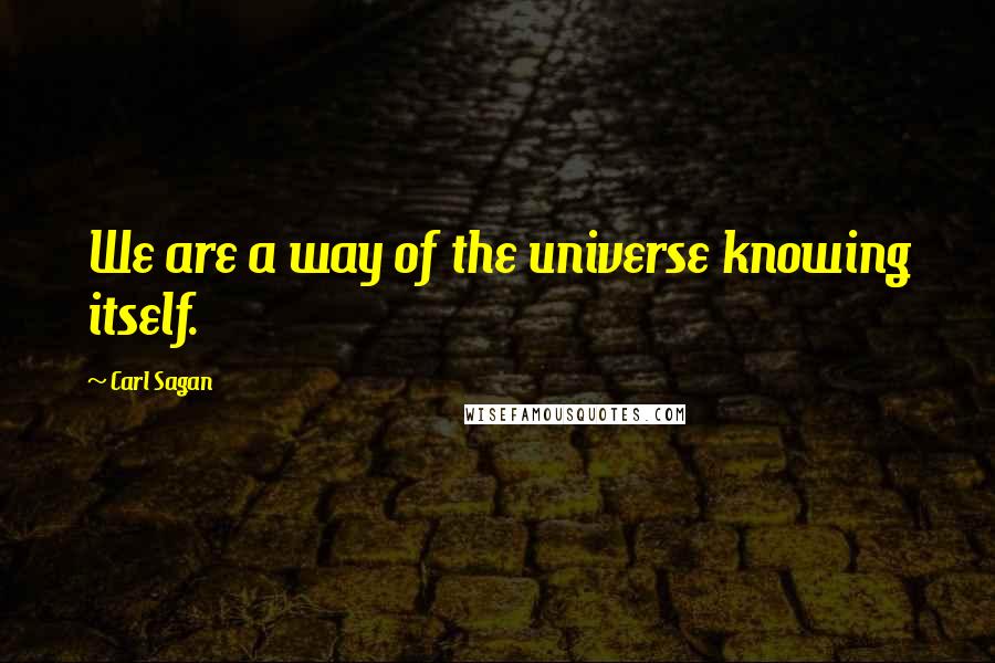 Carl Sagan Quotes: We are a way of the universe knowing itself.