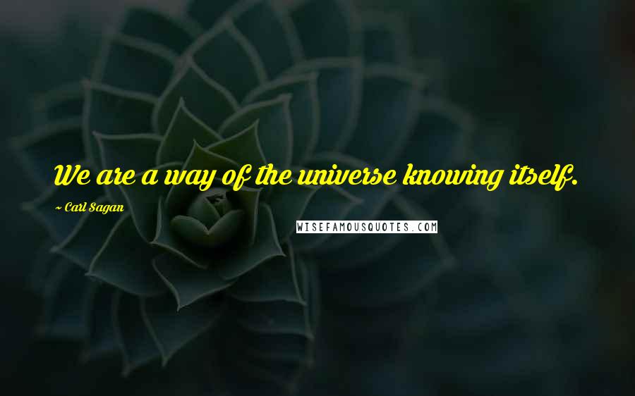 Carl Sagan Quotes: We are a way of the universe knowing itself.