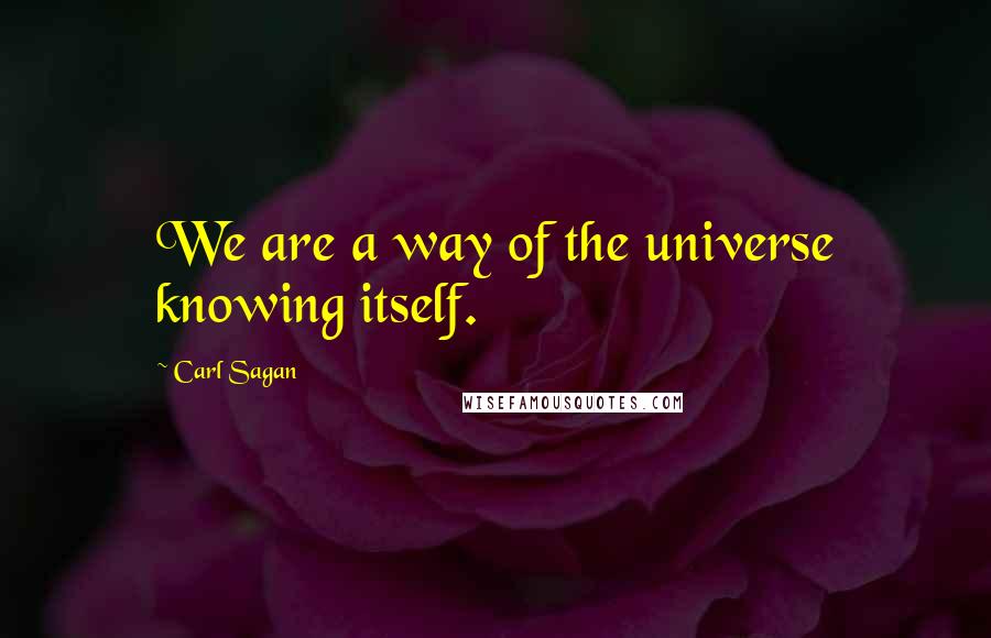 Carl Sagan Quotes: We are a way of the universe knowing itself.
