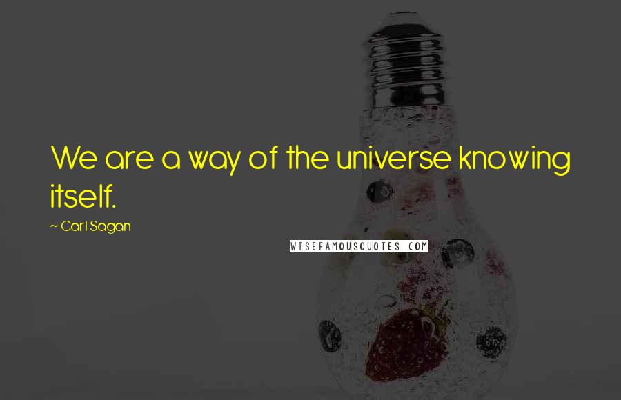 Carl Sagan Quotes: We are a way of the universe knowing itself.