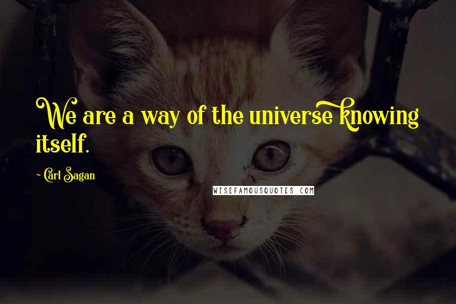 Carl Sagan Quotes: We are a way of the universe knowing itself.