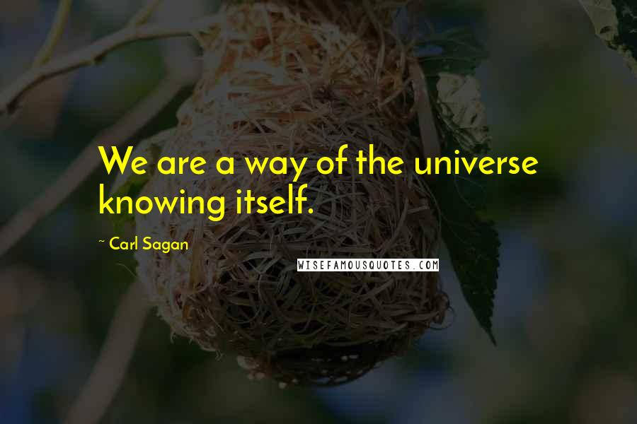 Carl Sagan Quotes: We are a way of the universe knowing itself.