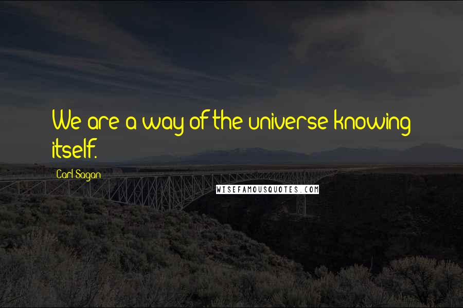 Carl Sagan Quotes: We are a way of the universe knowing itself.