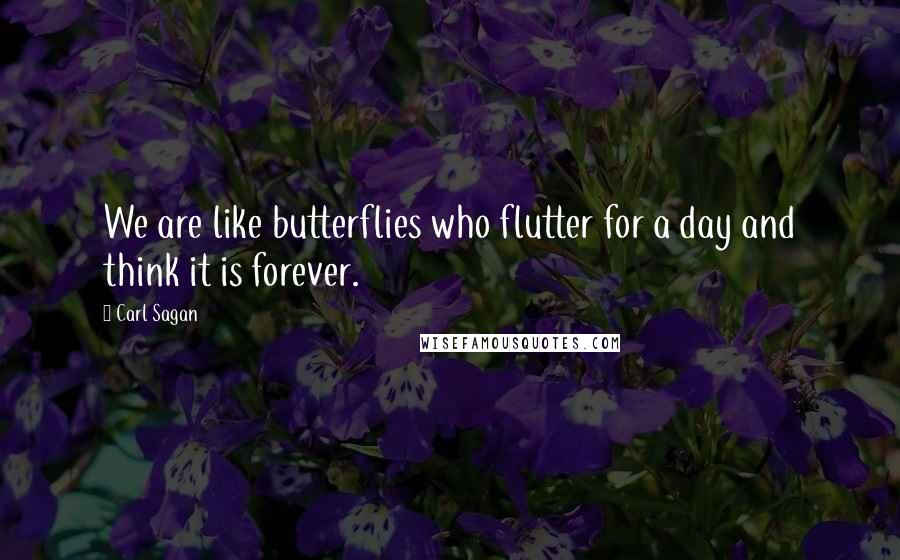 Carl Sagan Quotes: We are like butterflies who flutter for a day and think it is forever.