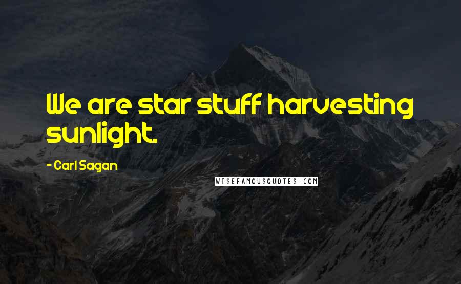 Carl Sagan Quotes: We are star stuff harvesting sunlight.