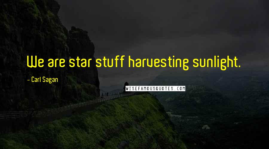 Carl Sagan Quotes: We are star stuff harvesting sunlight.