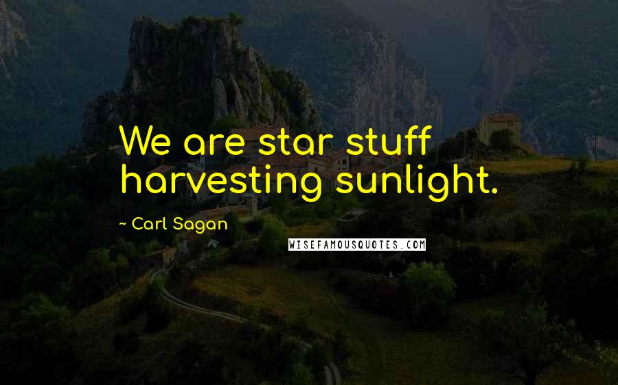 Carl Sagan Quotes: We are star stuff harvesting sunlight.