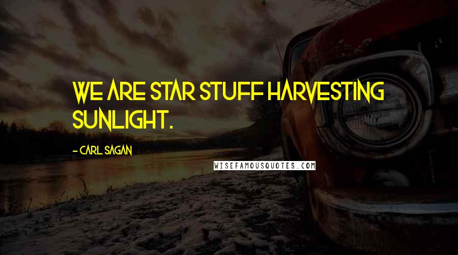 Carl Sagan Quotes: We are star stuff harvesting sunlight.