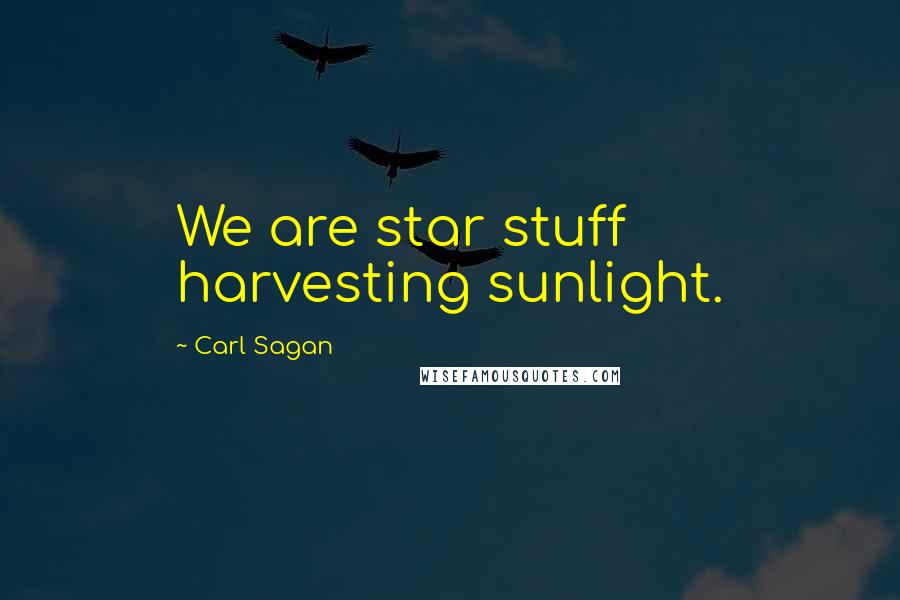 Carl Sagan Quotes: We are star stuff harvesting sunlight.