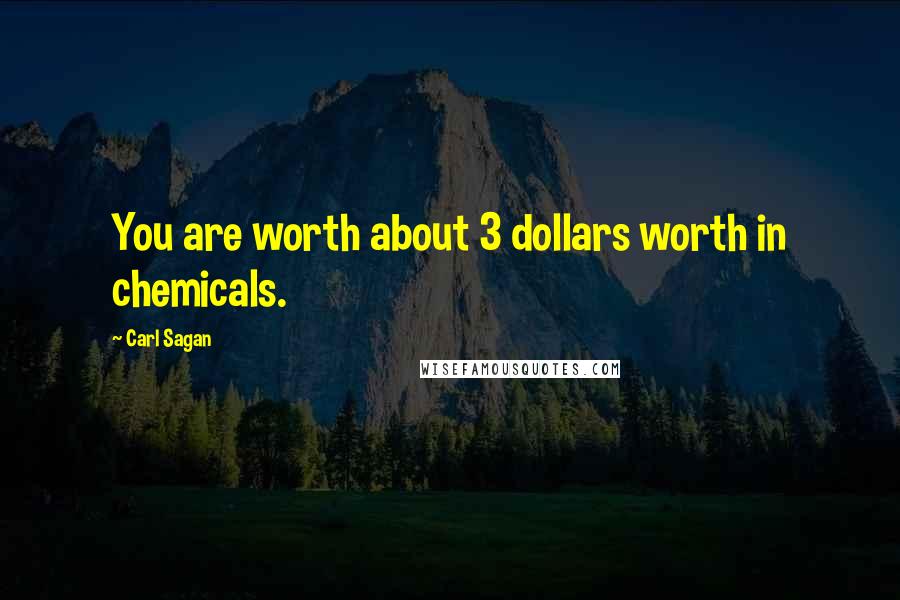 Carl Sagan Quotes: You are worth about 3 dollars worth in chemicals.