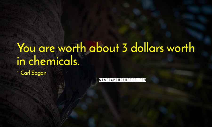 Carl Sagan Quotes: You are worth about 3 dollars worth in chemicals.