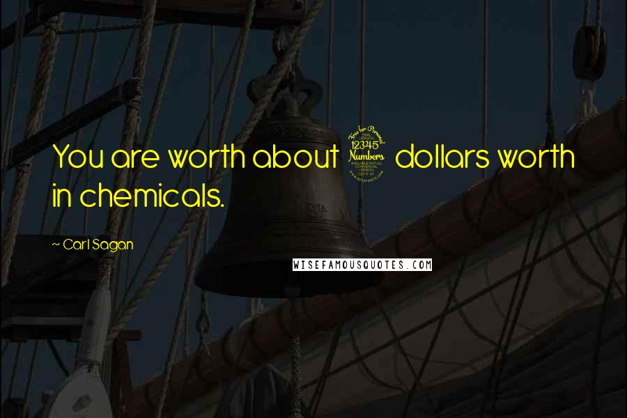 Carl Sagan Quotes: You are worth about 3 dollars worth in chemicals.