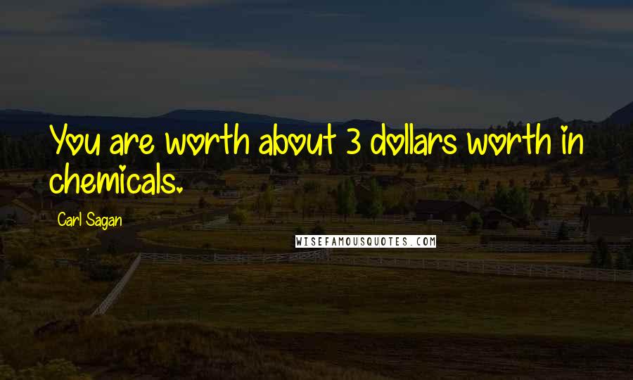 Carl Sagan Quotes: You are worth about 3 dollars worth in chemicals.