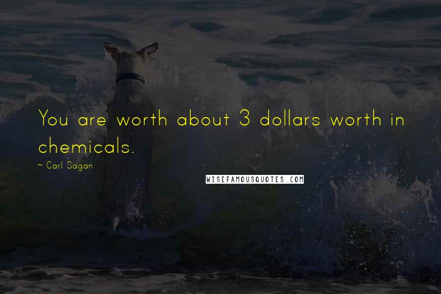 Carl Sagan Quotes: You are worth about 3 dollars worth in chemicals.